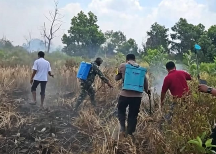 Polres Mesuji Bersama Kodim 0426/TB Gerak Cepat Padamkan Kebakaran Lahan di 5 Titik
