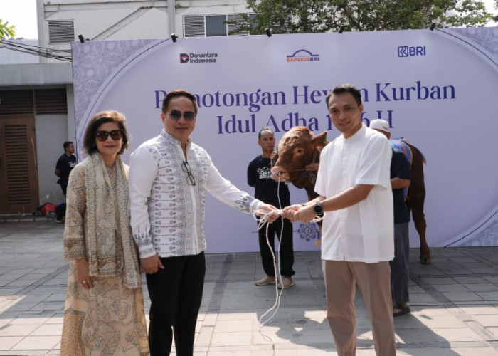 Bapekis dan Karyawan BRI Berkurban, 961 Hewan Disalurkan dalam Momen Idul Adha 1446 H