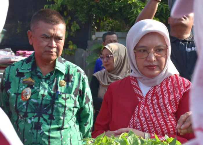 Kampung Peng’Angguran Agroceria Metro jadi Penilaian Lomba Tingkat Nasional