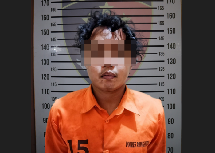 Pelaku Pemerkosaan dan Perampokan Spesialis Michat Dibekuk Polisi