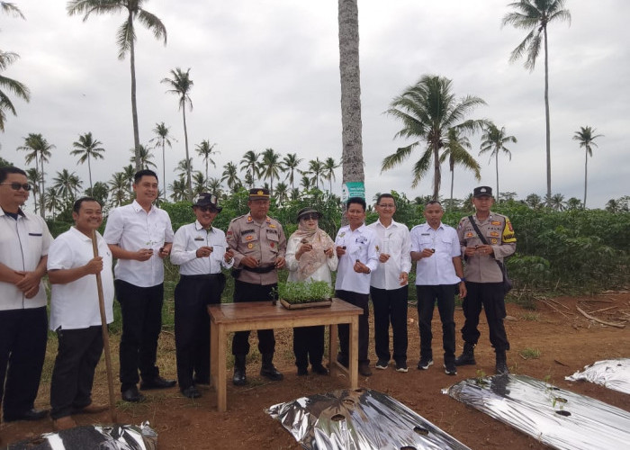 Polres Pringsewu dan Dinas Pertanian Dorong Ketahanan Pangan Lewat Bantuan Bibit Cabai