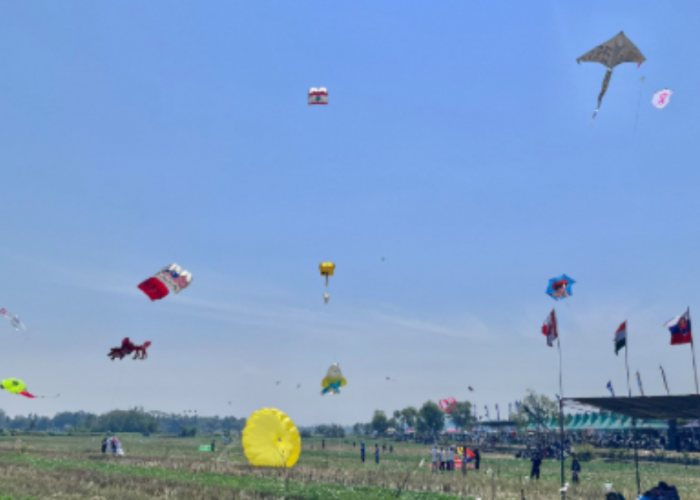 JIKF 2026 Dimulai, Pelayang dari 17 Negara Ramaikan Golden Ticket Selection di Kulon Progo