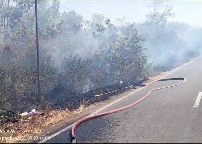 Kebun Karet Trikora Terbakar, Api Padam Setelah 6 Jam 