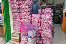 Harga Bawang Merah di Pasar Nuban Metro Merangkak Naik, Pedagang Mengeluh Sepi Pembeli