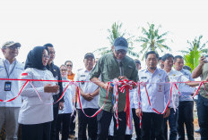 Kunker ke Mesuji, Gubernur Lampung Luncurkan Bed Dryer