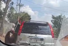 Setoran Proyek Tak Sesuai Nominal, Oknum Pejabat Disdikbud Lampung Tengah Minta Kejelasan