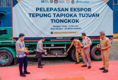 Dorong Nilai Tambah, Pemprov Lampung Ekspor Ribuan Ton Tapioka ke Tiongkok