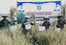 Panen Raya di Wonosari, Wabup Pringsewu Tegaskan Komitmen Dukung Sektor Pertanian