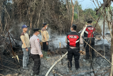 Kapolres Mesuji Turun Tangan Padamkan Kebakaran Lahan Tebu PT Silva Inhutani