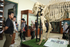 Peringati Hari Museum Indonesia, Dinas Kebudayaan Kota Yogyakarta Gelar Pameran Kolaboratif Trinetra