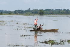 Bily Saputra Tenggelam Saat Ambil Buruan yang Jatuh ke Lebung di Bumi Nabung