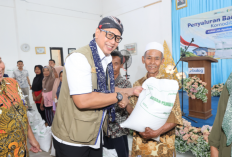 BULOG Masifkan Distribusi Bantuan Beras 3.118 Ton, Wujudkan Ketahanan Pangan bagi Masyarakat Purworejo