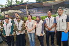 DPP Kota Yogyakarta Pastikan Hewan Kurban di Pasar Tiban Sehat Jelang Iduladha