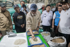 Penjualan Kendaraan Niaga di Lampung Naik, Pengamat Soroti Kebutuhan Distribusi Barang
