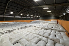 BULOG DIY Pastikan Pasokan Pangan Stabil, Masyarakat Tidak Perlu Panic Buying