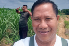 Petani Akan Merugi, PKT Group Pinta Kejati Lampung Buka Blokir PT PSMI