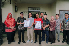 Gubernur Lampung Tinjau Sentra Mocaf Pringsewu, Dorong Hilirisasi Singkong dan Ketahanan Pangan