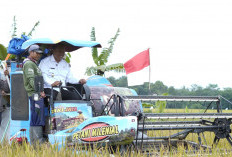 Plt. Bupati I Komang Koheri Hadiri Tasyakuran Swasembada Pangan dan Panen Raya Poktan Suka Karya I
