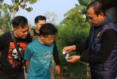 Polisi Gerebek 6 Lokasi Dugaan Peredaran Narkoba di Pringsewu, 2 Pria Diamankan