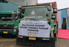 Lampung Kirim 3.300 Ton Tapioka ke Tiongkok, Ekspor Perdana Tembus Rp26 Miliar