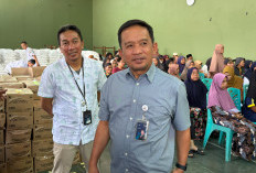 BULOG DIY Serap 178 Ribu Ton Setara Beras, Dukung Capaian Nasional Tembus 3 Juta Ton
