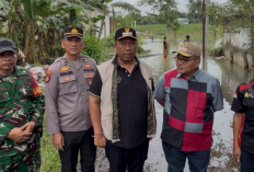 Normalisasi Saluran Irigasi, Plt. Bupati Bersama Plt. Ketua TP PKK Lamteng Tinjau Banjir di Kota Gajah