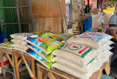 Harga Beras di Metro Stabil, Jenis Premium Paling Cepat Ludes