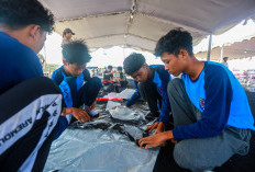 JIKF 2026 Hadirkan OLLANESIA, Dorong Pelestarian Budaya Layang-Layang Lewat Dunia Pendidikan