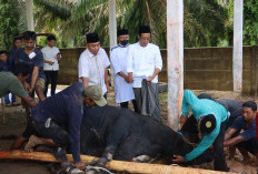 Polres Mesuji Gelar Penyembelihan 19 Hewan Kurban, 6 Sapi dan 13 Kambing