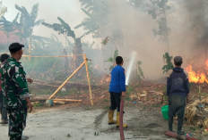 Kebakaran Lahan di Banjar Agung Tulang Bawang, Damkar Gerak Cepat Padamkan Api