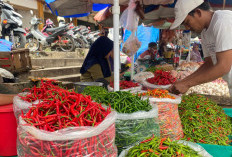 Pasca Lebaran Harga Cabai di Metro Turun, Pedagang dan Pelaku UMKM Bernapas Lega