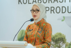 Wagub Lampung Jadi Keynote Speaker pada Penandatanganan Kerja Sama FDB Multi Usaha Kehutanan