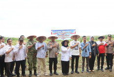 Polres Mesuji Gelar Panen Raya Jagung Serentak Kuartal II Tahun 2026