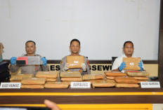 Bawa 24 Kilogram Ganja, Kurir Asal Sumatera Utara Ditangkap Satres Narkoba Polres Pringsewu