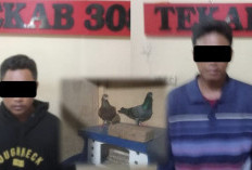 Curi Burung Dara Seharga 10 Juta, Warga Asal Metro dan Lamteng Diamankan Polisi
