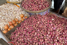 Harga Bawang Merah di Pasar Kopindo Metro Melonjak, Buat Konsumen Menjerit