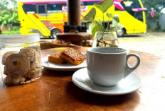 Mudik ke Lampung Tak Lengkap Tanpa Ini: 10 Oleh-oleh Legendaris yang Wajib Dibawa Pulang