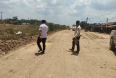 Akses Jalan Makin Lancar, Petani Padi di Mesuji Sebut Ongkos Angkutan Panen Kini Lebih Ringan