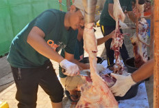 Hari Raya Idul Adha 1447 H, RSUM Metro Bersama LAZISMU Potong 13 Ekor Sapi dan 4 Ekor Kambing