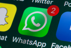 WhatsApp Bakal Setop Dukungan Android Lawas, Cek HP Kamu Sekarang!