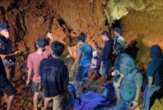Empat Pekerja Tewas Tertimbun Longsor, HAMI Sultra Desak Aktivitas PT KDI Dihentikan Sementara