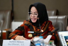 Elfianah Gagas Satu Aplikasi untuk Semua Layanan Publik di Kabupaten Mesuji