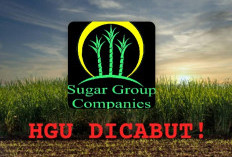 Prabowo Cabut HGU SGC Senilai Rp14 Triliun