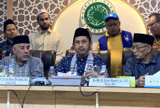 9 Aktivis Kemanusiaan Ditahan Israel, MUI Desak Pemerintah Ambil Tindakan Tegas