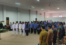 Sejumlah Pendukung KoKo Dirotasi, Bupati Tidak Hadir, Sekda : Saya Melihat Kompetensi Dan Kebutuhan 