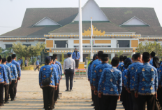 Pemkab Pringsewu Gelar Upacara Peringatan Hari Perhubungan Nasional 2026