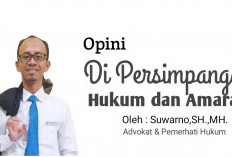 Negara vs Amuk Massa, Ketika Hukum Ditinggalkan, Nyawa Dipertaruhkan