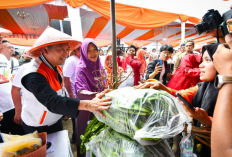 AMY Hadiri Pesta Rakyat Petani di Lampung, Riyono Caping: Bukti Nyata Keberpihakan PKS