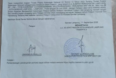 Polisi Jadwalkan Pemeriksaan Pengurus KONI Lampung yang Jadi Terlapor Dugaan Pelecehan