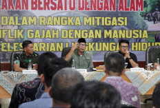 Gubernur Lampung Apresiasi Banpres Rp839 Miliar dari Presiden Prabowo Subianto untuk Way Kambas